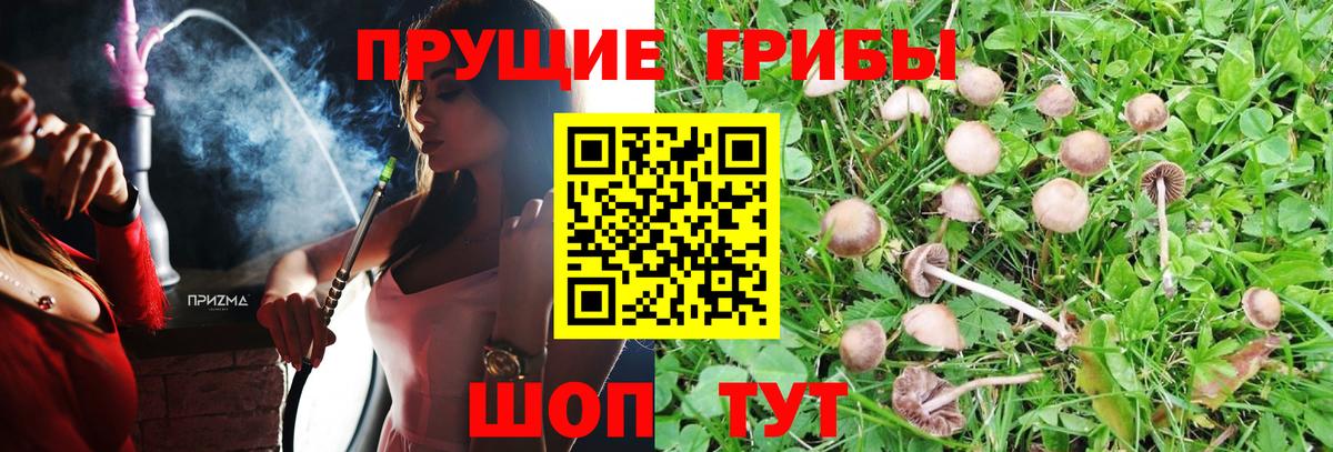 Галлюциногенные грибы GOLDEN TEACHER Курган