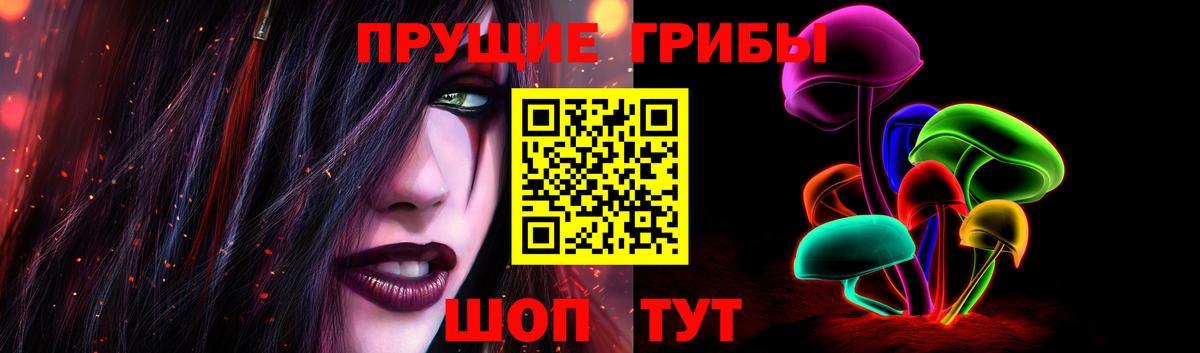 Псилоцибиновые грибы Cubensis  Галлюциногенные грибы Psilocybe  Вход с VPN  Курган 